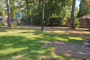 30406 Littlecroft Dr, Spring, TX 77386 - Photo 27