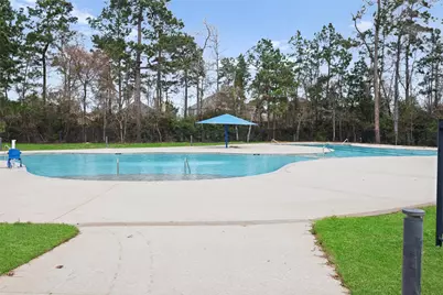 14239 Volcano Perch Drive, Conroe, TX 77384 - Photo 39