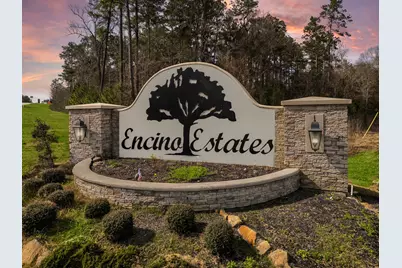 1349 Cr 66113, Dayton, TX 77535 - Photo 11