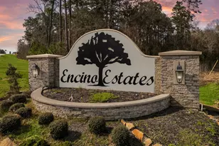 1349 Cr 66113, Dayton, TX 77535 - Photo 11