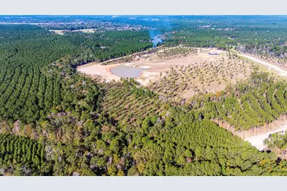 Lot 8 Big Buck Drive N, Moscow, TX 75960 - Photo 11