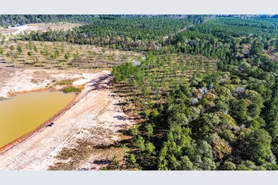 Lot 8 Big Buck Drive N, Moscow, TX 75960 - Photo 3