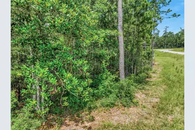 103 Eagle Run Road, Willis, TX 77378 - Photo 33