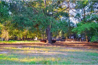 161 Woodman Drive, Cleveland, TX 77328 - Photo 3