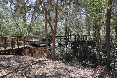453 N Washington Street, Round Top, TX 78954 - Photo 13