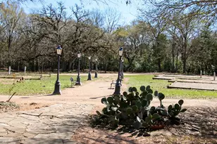 453 N Washington St, Round Top, TX 78954 - Photo 11