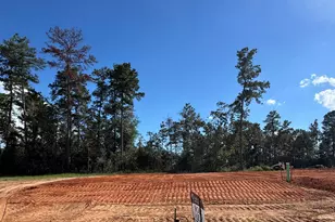 9153 Grand Jubilee Dr, Montgomery, TX 77316 - Photo 15