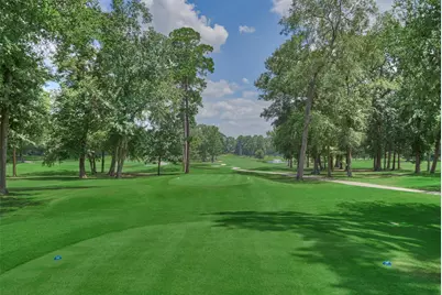 2923 Chaucer Drive, Montgomery, TX 77356 - Photo 31