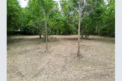 13515 Canterwell Road, Houston, TX 77047 - Photo 13