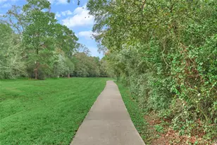 3500 Tangle Brush Dr, The Woodlands, TX 77381 - Photo 21