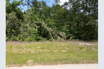 7307 Barret Street, Montgomery, TX 77316 - Photo 3
