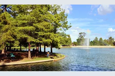7950 N Stadium Drive #241, Houston, TX 77030 - Photo 29