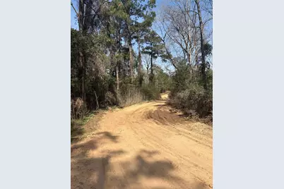 Tbdd Margie Drive, Livingston, TX 77351 - Photo 5