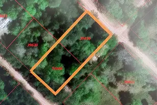 Tbdd Margie Dr, Livingston, TX 77351 - Photo 1