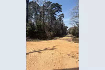 Tbdd Margie Drive, Livingston, TX 77351 - Photo 3