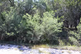 8207 Cedar Glen Cove, Leander, TX 78645 - Photo 1