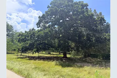 Tbd Cr-2094, Liberty, TX 77575 - Photo 7