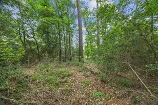 706 Overbrook Dr, Huntsville, TX 77340 - Photo 39