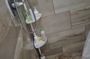 7326 Thurow St, Houston, TX 77087 - Photo 7