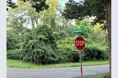 Tbd Beech Drive, Montgomery, TX 77316 - Photo 3