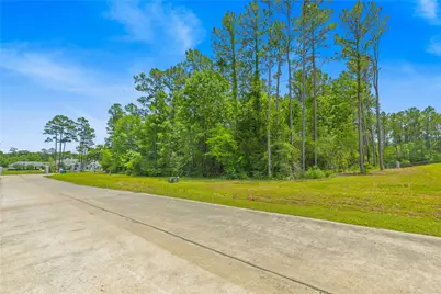 Tbd 5.35Ac Lot Spring Branch Road, Montgomery, TX 77316 - Photo 11