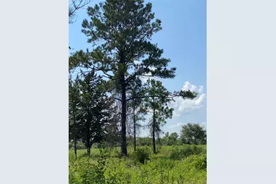 6115 S Highway 35, Alvin, TX 77511 - Photo 47