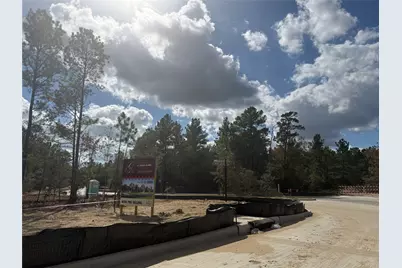 26751 Alderbrook Avenue, Montgomery, TX 77316 - Photo 5