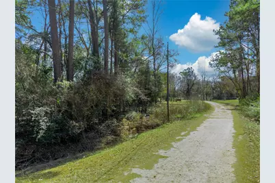 0 Fox Fire Drive, Plantersville, TX 77868 - Photo 5