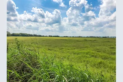 12328 Fm 1383, Schulenburg, TX 78956 - Photo 5