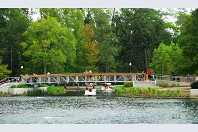 6841 Staffordshire Boulevard, Houston, TX 77030 - Photo 29