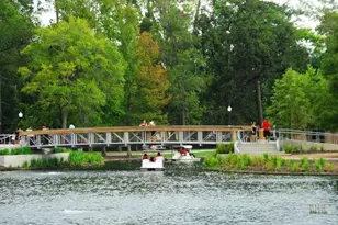 6841 Staffordshire Blvd, Houston, TX 77030 - Photo 29