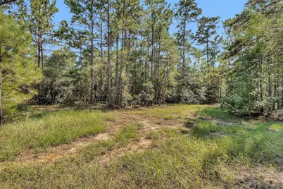 17008 E Fm 1097 Road, Willis, TX 77378 - Photo 7