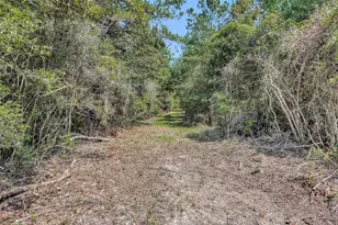 17008 E Fm 1097 Rd, Willis, TX 77378 - Photo 13