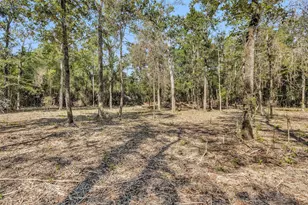 17008 E Fm 1097 Rd, Willis, TX 77378 - Photo 11
