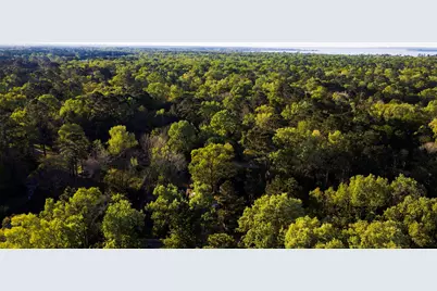 211 Woodstock, Livingston, TX 77351 - Photo 29