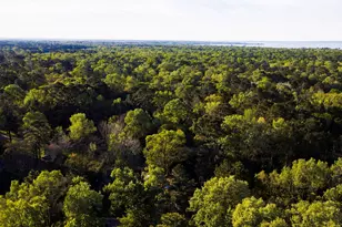 211 Woodstock, Livingston, TX 77351 - Photo 29