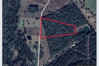 1087 Buckhorn Creek Drive, Crockett, TX 75835 - Photo 7