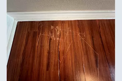 7017 Caldwell Road, Hitchcock, TX 77563 - Photo 39