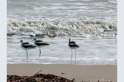 954 Eastview, Port Bolivar, TX 77650 - Photo 31