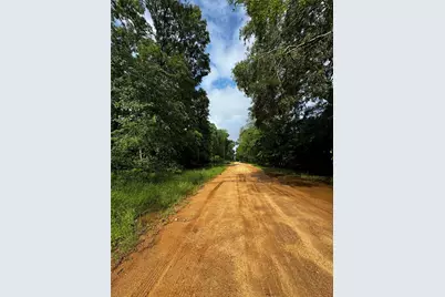 Tbd Mudd St, Coldspring, TX 77331 - Photo 9