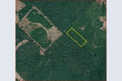 0 County Road 1655, Grapeland, TX 75835 - Photo 1