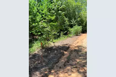 0 County Road 1655, Grapeland, TX 75835 - Photo 3