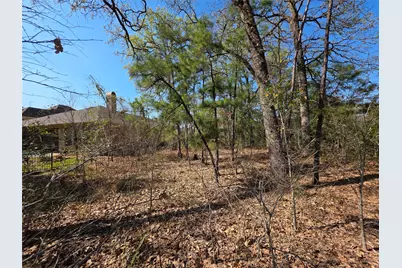 25103 Arcane Court, Spring, TX 77389 - Photo 5