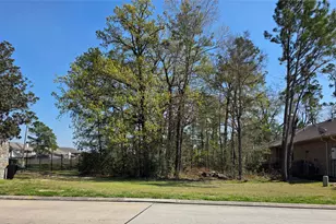 25103 Arcane Ct, Spring, TX 77389 - Photo 1