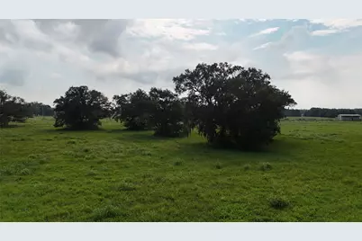 405 Pony Trail, Angleton, TX 77515 - Photo 5