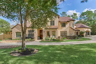 28222 Meadow Falls, Magnolia, TX 77355 - Photo 1