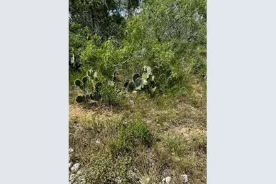 Lot 4 County Road 420, Waelder, TX 78959 - Photo 1