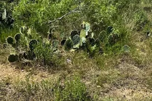 Lot 4 County Road 420, Waelder, TX 78959 - Photo 1