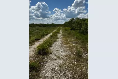 Lot 4 County Road 420, Waelder, TX 78959 - Photo 5