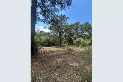11919 Hickory Wood, Pinehurst, TX 77362 - Photo 5